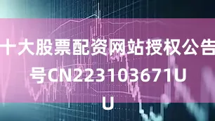 十大股票配资网站授权公告号CN223103671U